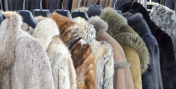 Fur coats cleaned by Gardner's Drycleaning-Laundry in Charleston WV